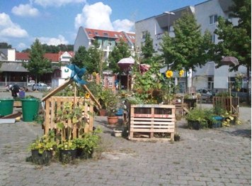 Der urbane Garten neben dem Lucie-Flechtmann-Platz Foto: Sybille