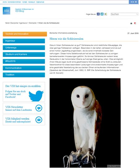 zum VDI-Artikel Schleiereule-Artikel