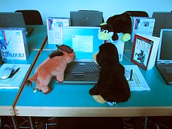 Tux und Gnu