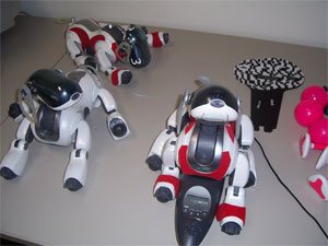 Roboterhunde