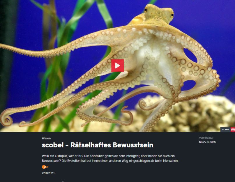 zur 3sat-Mediathek Screenshot