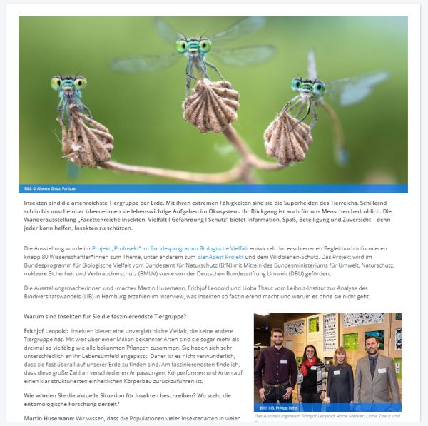 Link zur Website Screenshot