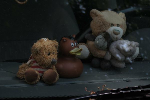 Kuscheltiere hinter einer Autoscheibe: 2 Teddys, 1 Koala, 1 Äffchen - und eine Badeente Desing Pferdchen