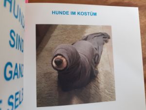 Hund in einem großen... äh... Jackenärmel oder so