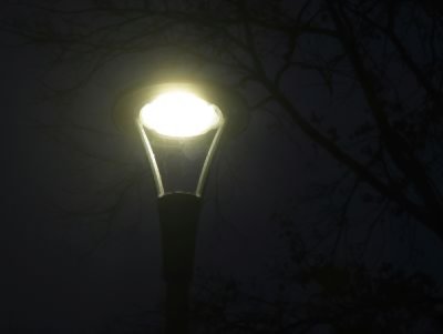Straßenlaterne vor Nachthimmel mit kahlen Baumästen im Hintergrund