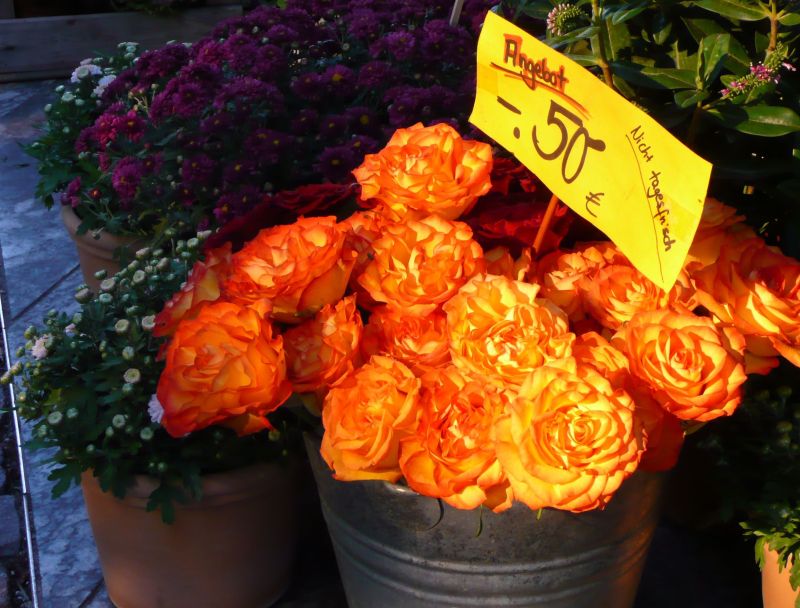 Blumenstrauß in Orange in einem Eimer am Blumenstand, daran ein Schild: Nicht tagesfrisch