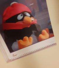 Stoff-Pinguin mit rotem Schal und roter Mütze, der die Zähne zusammenbeißt. Er sitzt am Fenster und guckt raus.
