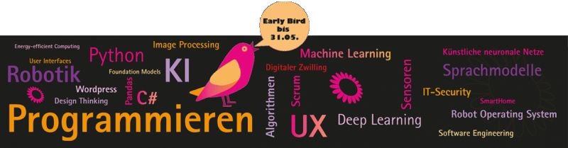Screenshot Banner