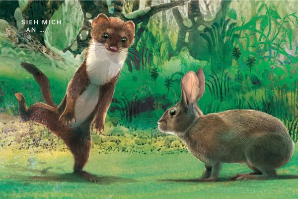 Marder und Kaninchen
