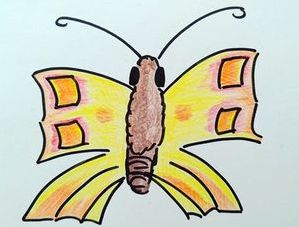 Bunter Falter in Braun, Gelb, Orange, Rot