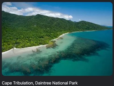 Regenwald am tropischen Meer und Sandstrand
